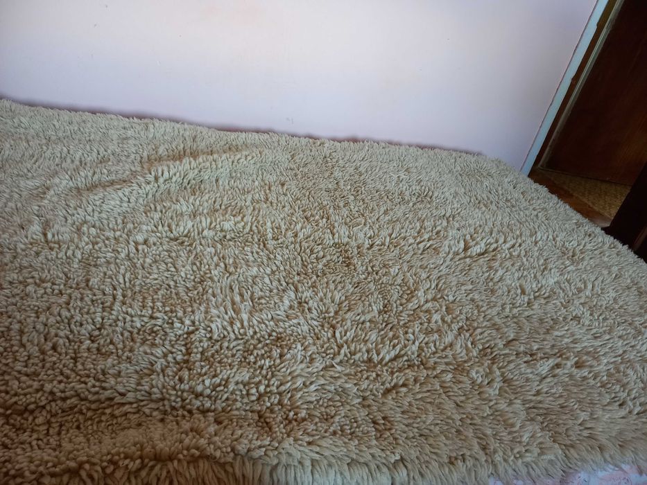 Китеник (губер)  бял