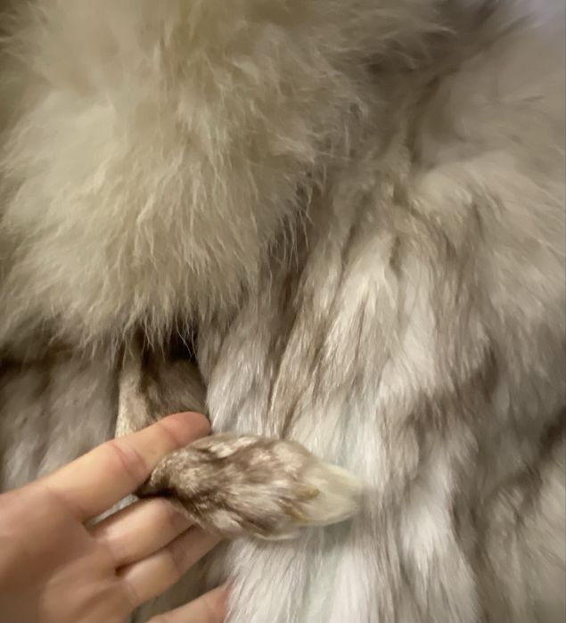 Blana naturala  , vulpe polara