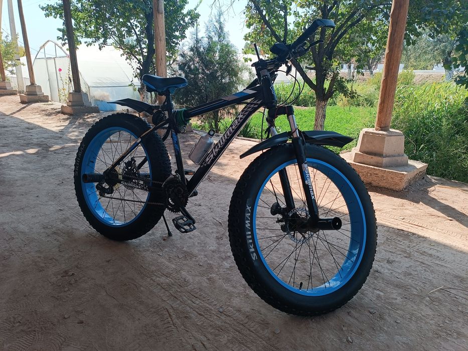 веласапети скорисли