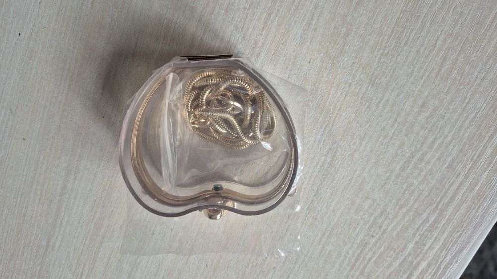 Новая Сумочка -- украшение.