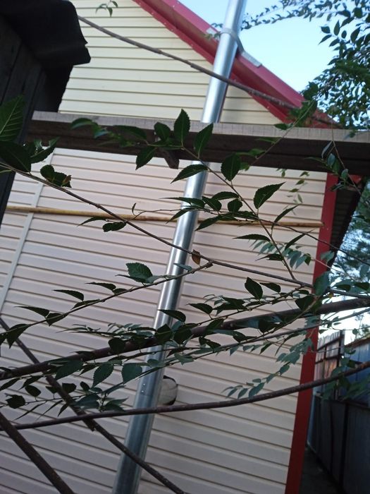 Монтаж, утепление дымохода.