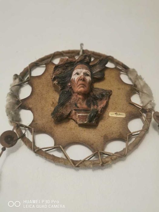 Tablou/Trofeu miniatura Bizon