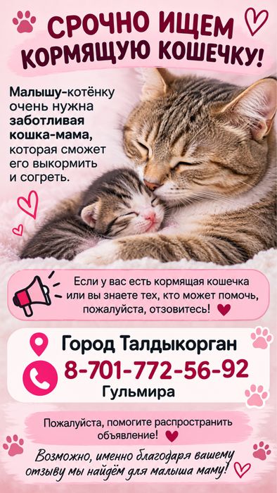 Срочно нужна кормящая кошка!