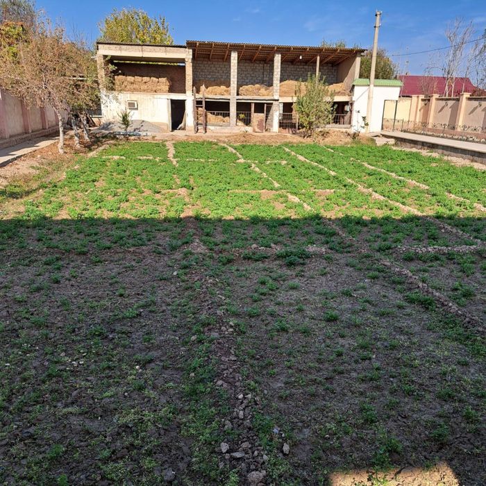 Hovli srochni sotiladi