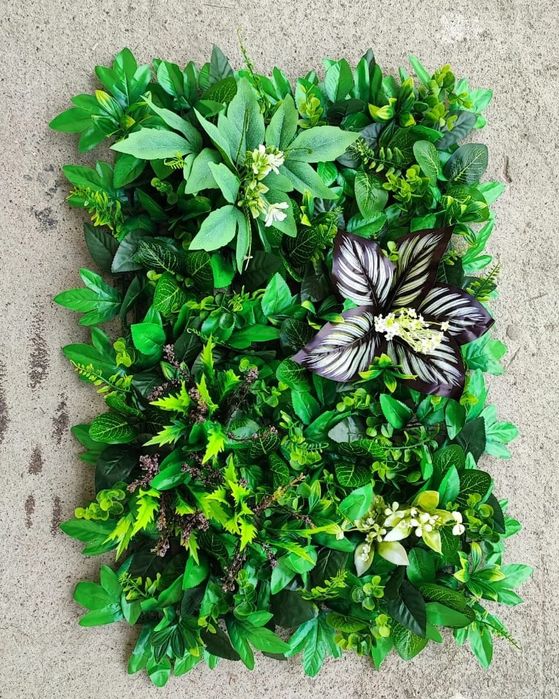 Зелень, фитостены, цветы