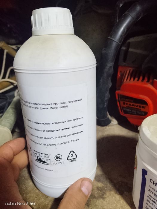 Пепсин, пишлок, сыр, таерлаш учун