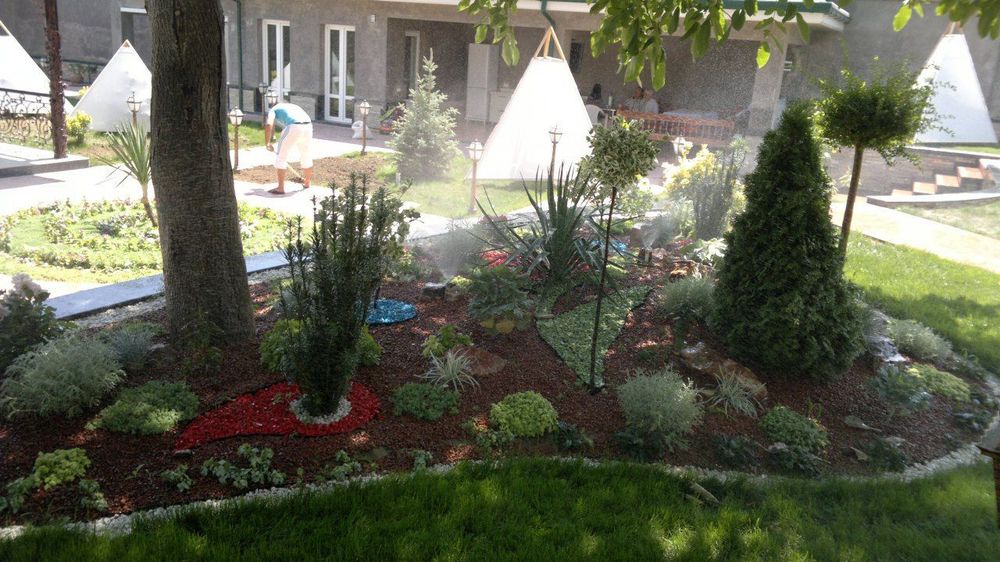 Качественные услуги для вас 
Газон 
Деревня 
Светочка
Ландшафтный диза