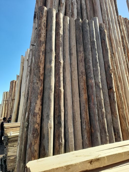 Terak to'sin mahsulotlari