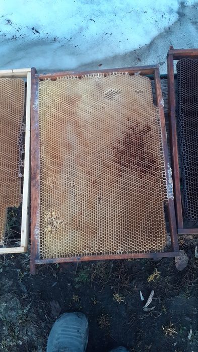 Продам сушь, улья,фляги