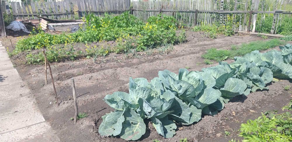 Дача федоровка с э/э