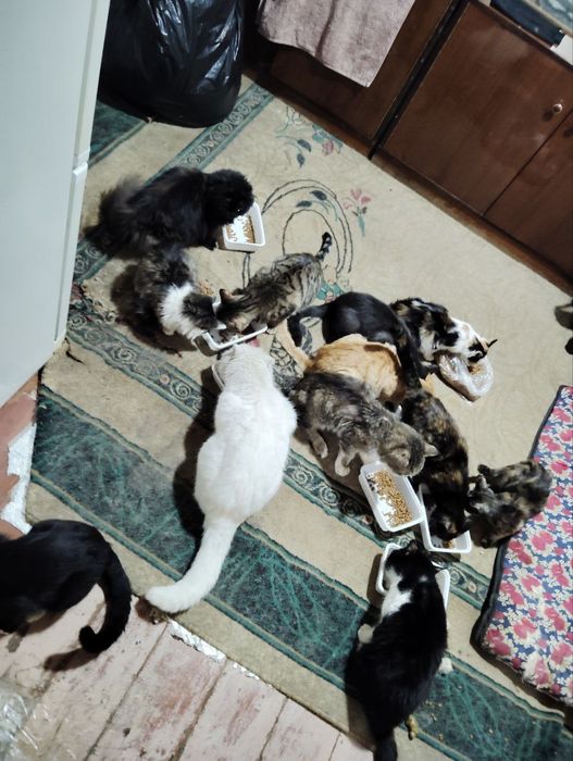 Болажонла уз уйини кидирмокда