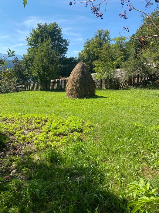 Vând teren Buhalnita