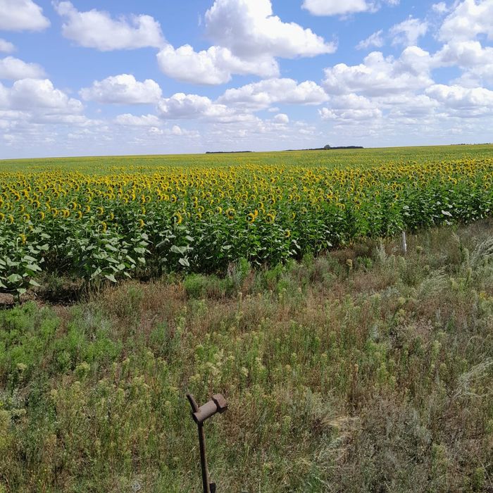 Продам земли пащни 1200 гектар