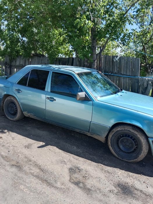 Продам немца состояние средние