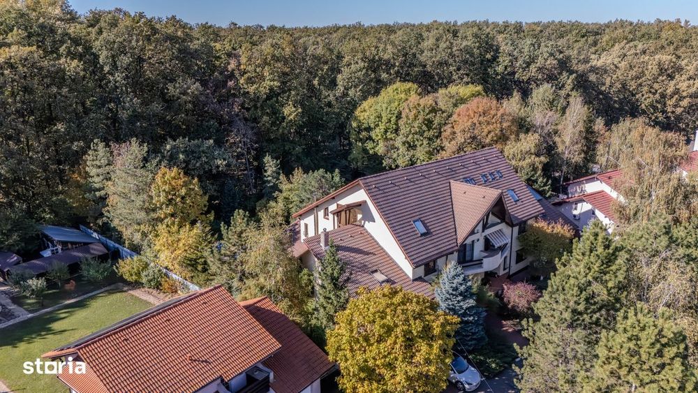 Promotie - vila langa padure cu piscina-Paradisul Verde