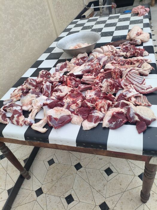 Кассоб хизмати (куй кучкор суйиш хизмати)