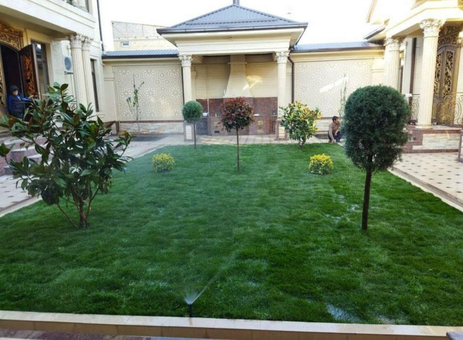 Gazon ekamiz sifatli 100%