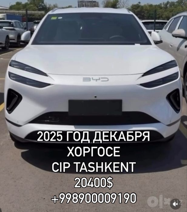 2025 год CIP Ташкент SEALION 06 520