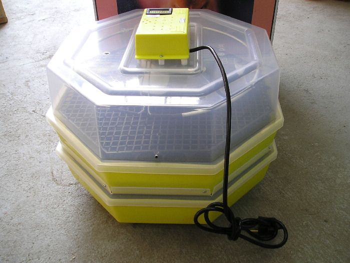 Официален вносител на Румънските инкубатори Cleo 5