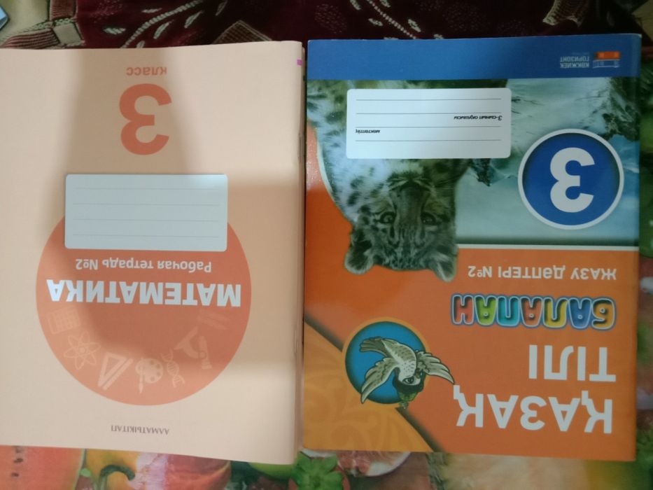 Рабочие тетради для 1-2-3 класс русс.обучение