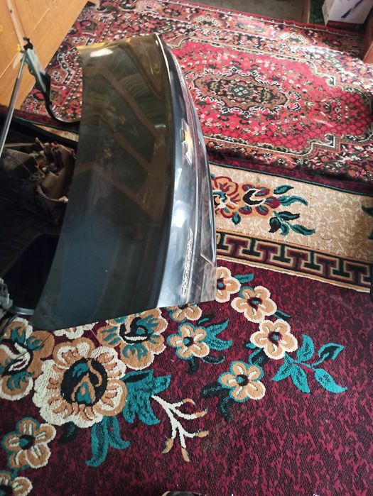 Radnoy detal sotladi