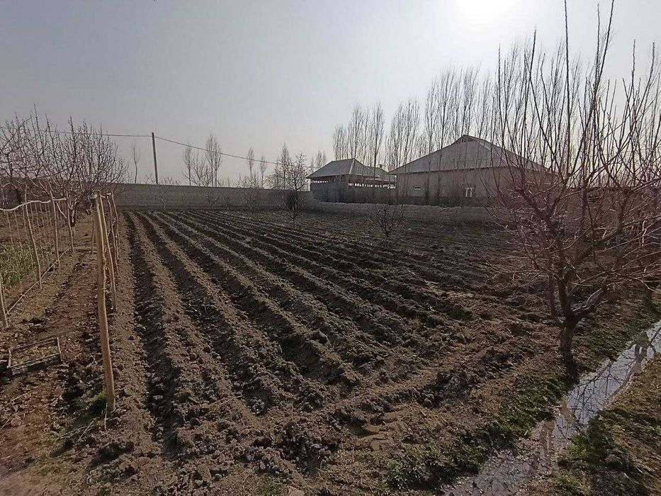 Учаска сотилади!  8 сотих. Аввалда