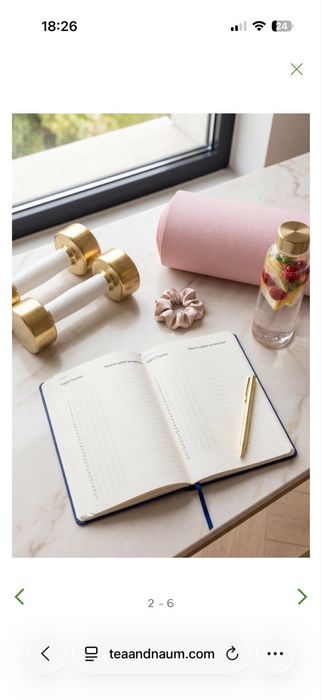 Планер от Теа Минкова