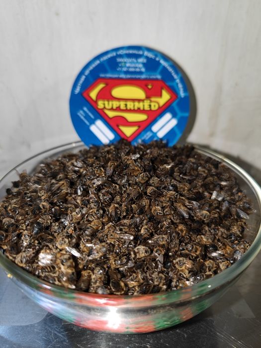 ПОДМОР пчелиный, сушёные пчёлы