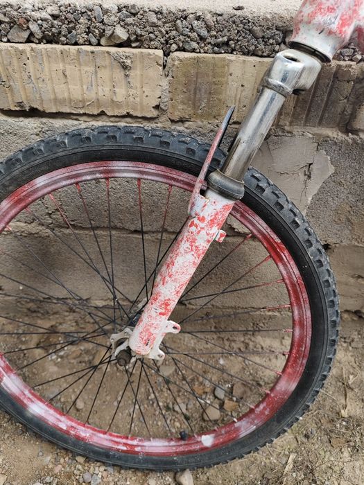 Велик покрашенный