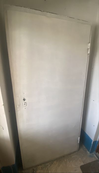 Металическая дверь