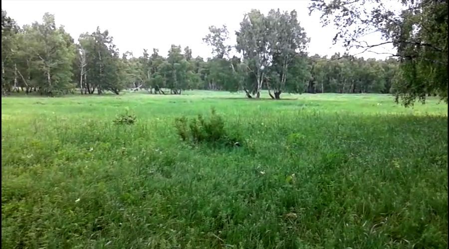 Продам земельный участок