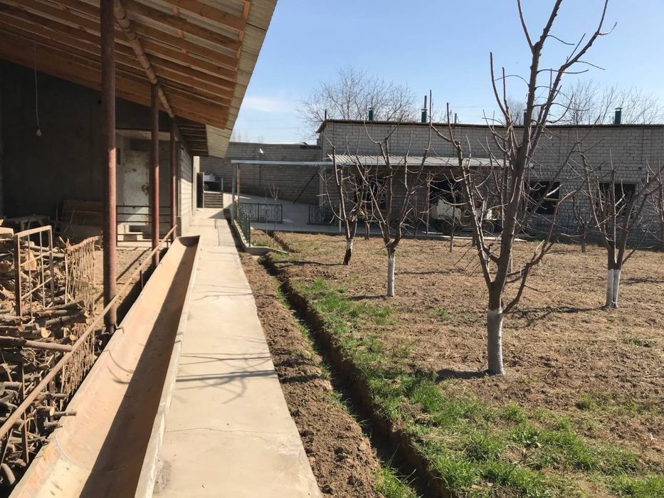 Уй Сотилади! Молхонаси билан!