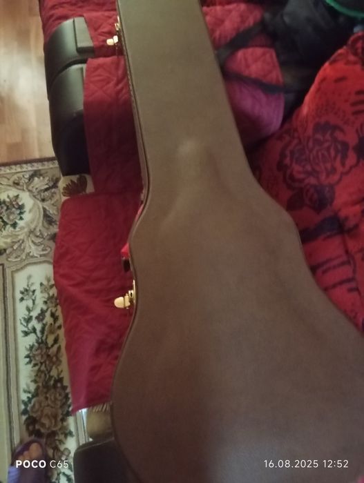 Кейс для электрогитары и электрогитара