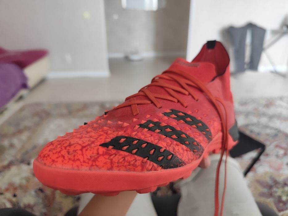 Сороконожки в отличном состоянии