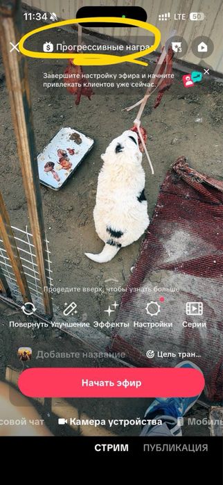 Продается тик ток аккаунт