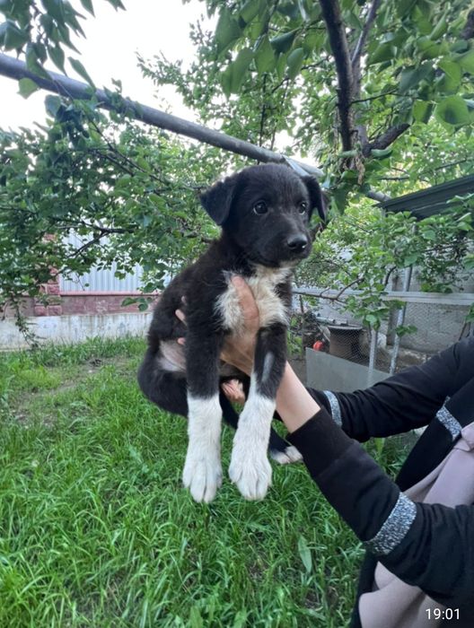 Маленькие ангелочки