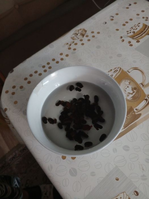 Улитки аквариумные