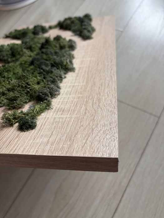 Tablou cu licheni naturali pe placa de pal