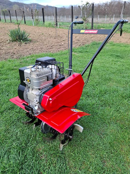 Motosapa  / motocultor  / Briggs Stratton