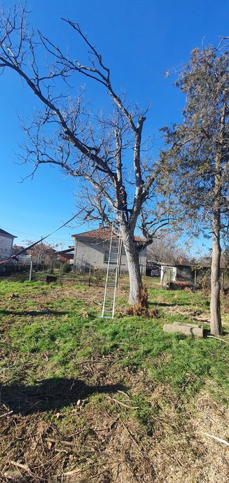 Рязане, транспорт, цепене,подреждане на дърва,почистване,извозване