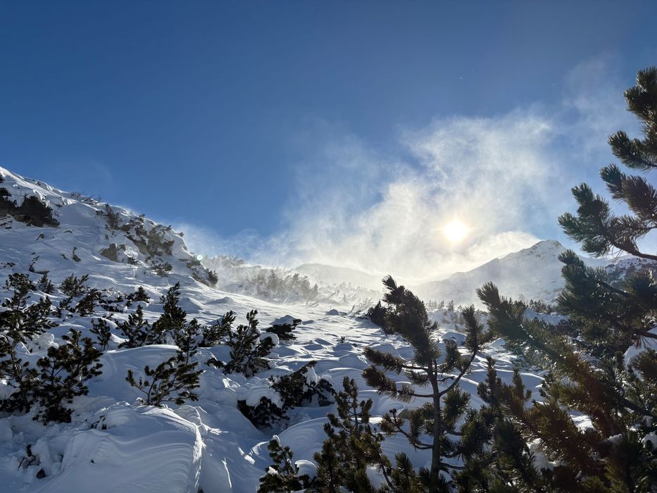 Обувки за ски туринг(2025)