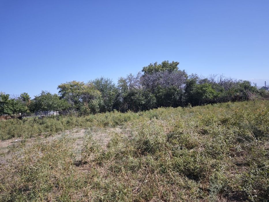 Дачный участок, земля