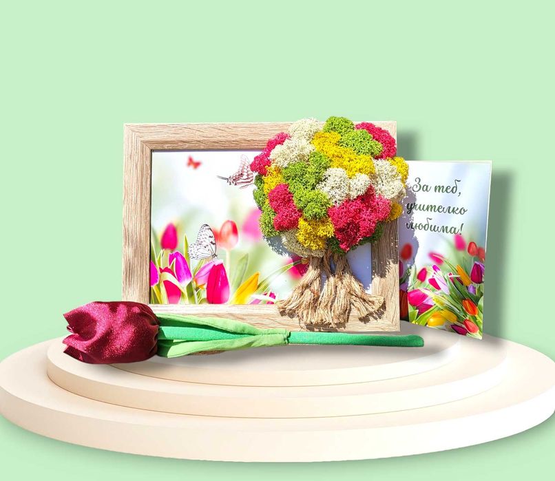 Живи картини/пана с естествен скандинавски мъх