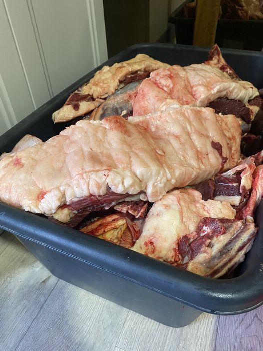 Продам мясо, конино