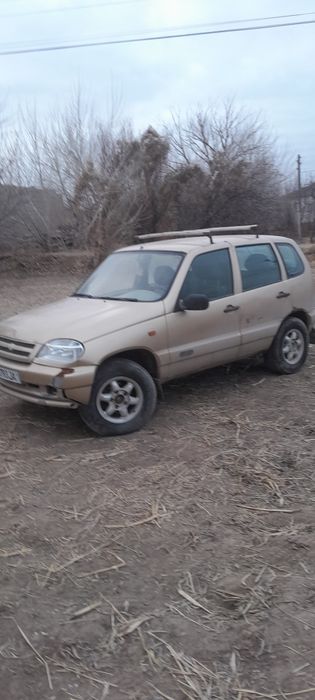 Niva yili 2005 1oolik metan