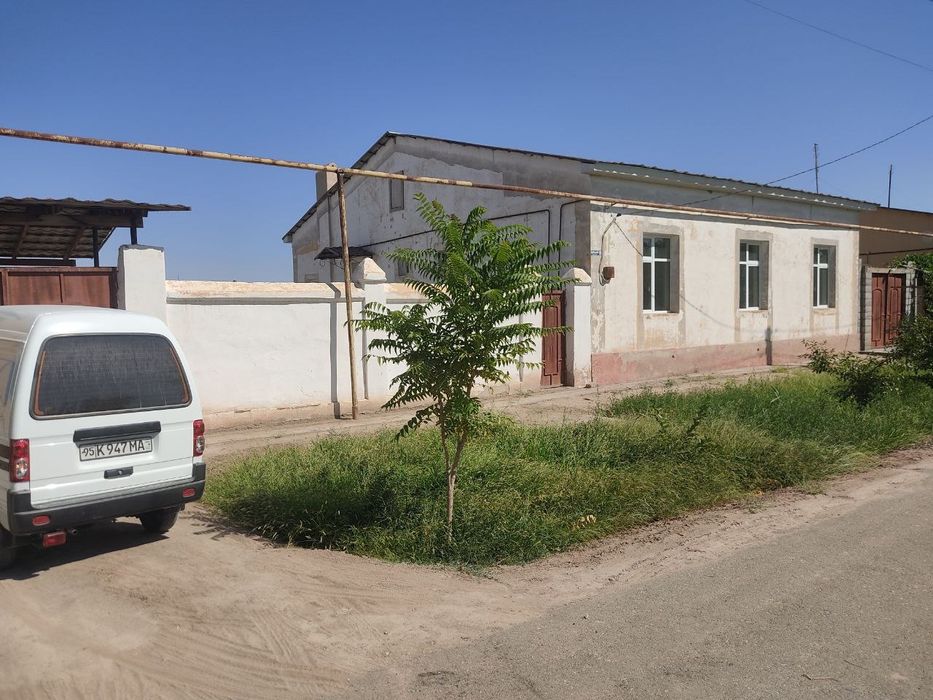 Тоза айрапортта намунали уй