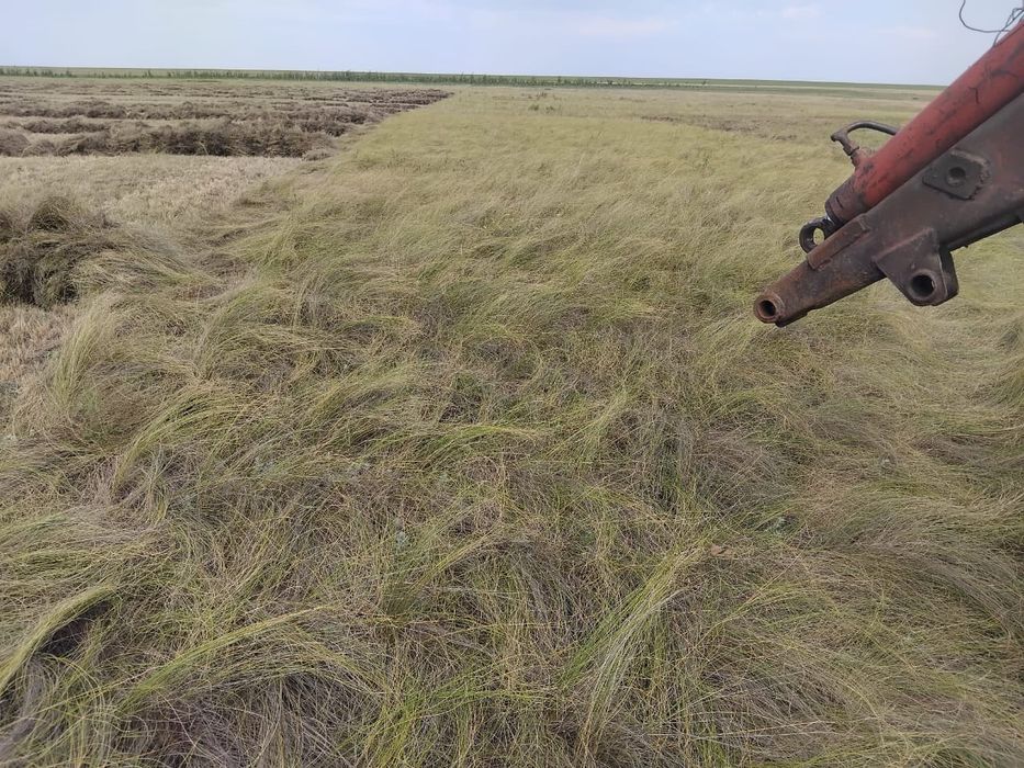 Продам тюковое сено с поля 500 тг
