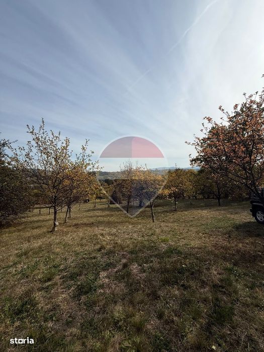Teren 13,340mp Giulesti / Strada PRINCIPALA