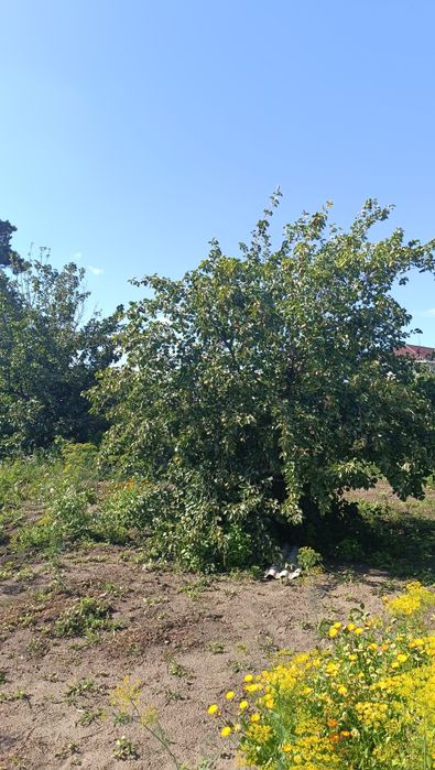 Продам Дачу Со Геолог