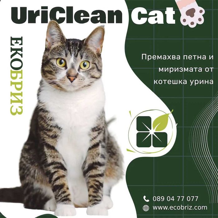 Uriclean Cat: ензимен препарат за котешка урина и петна